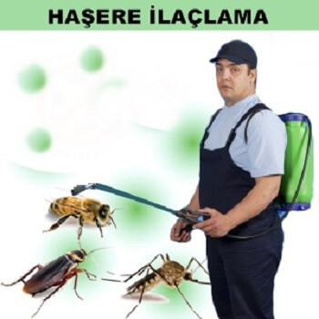 Göynük Böcek İlaçlama